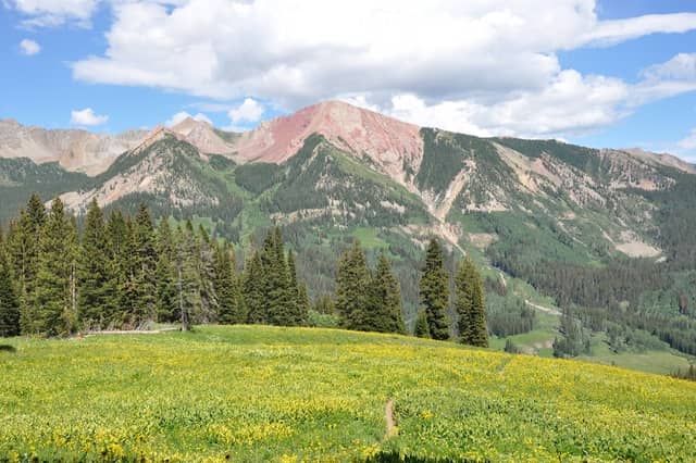 Washington Gulch - Image 1