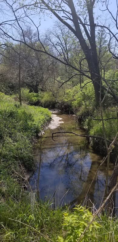 LeSuer Nature Preserve - Image 2