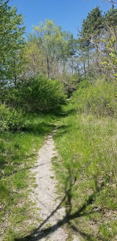 LeSuer Nature Preserve - Image 1