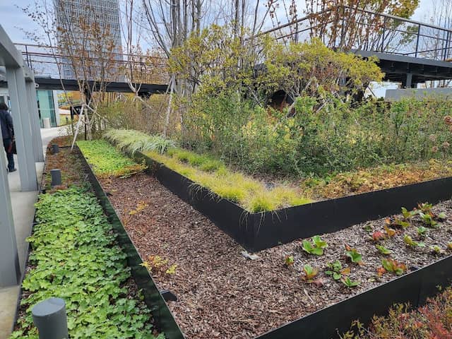 The Sky Park - Image 1