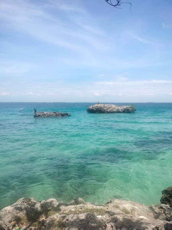 Crab Island - Image 3