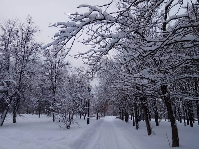 The Park on Zelyoniy Ave - Image 1