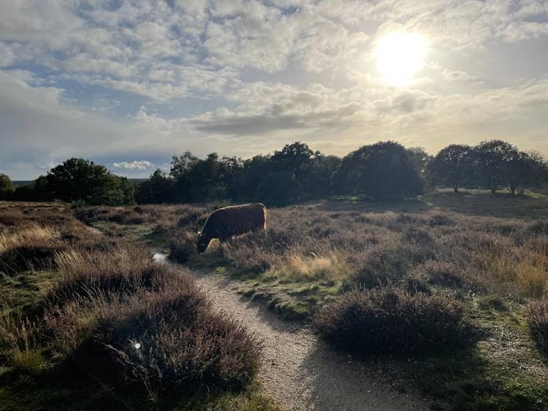 Wandelroute Mookerheide - Image 1