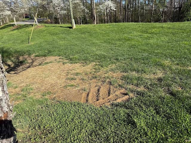 George Hutchins Trail - Image 1