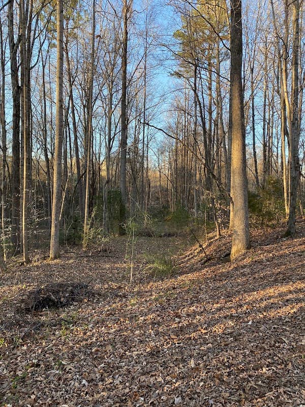 George Hutchins Trail - Image 2