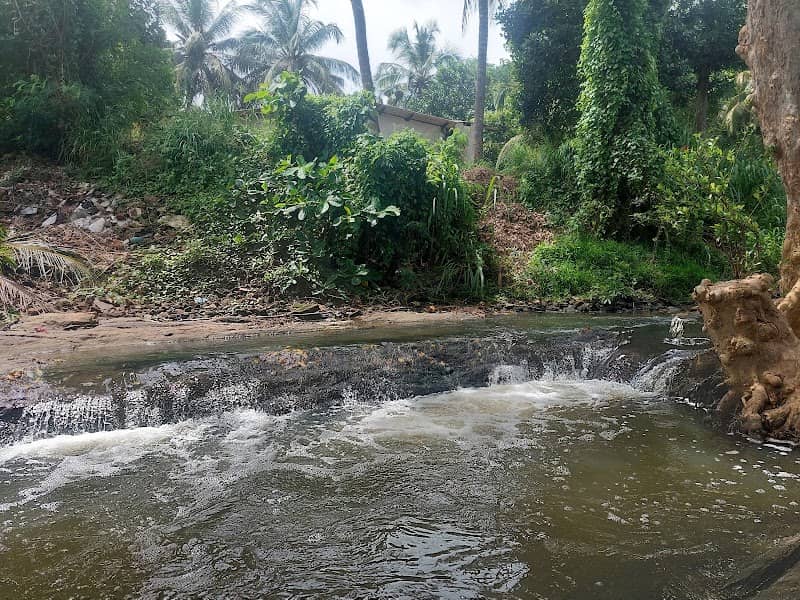 Natural pool (bathing place) - Image 1