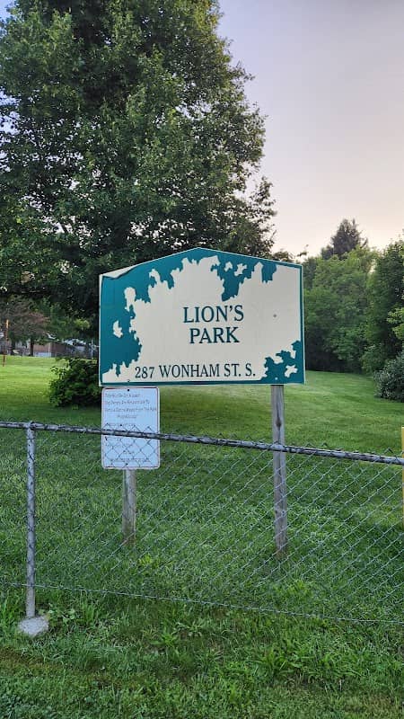 Lion's Park - Image 1
