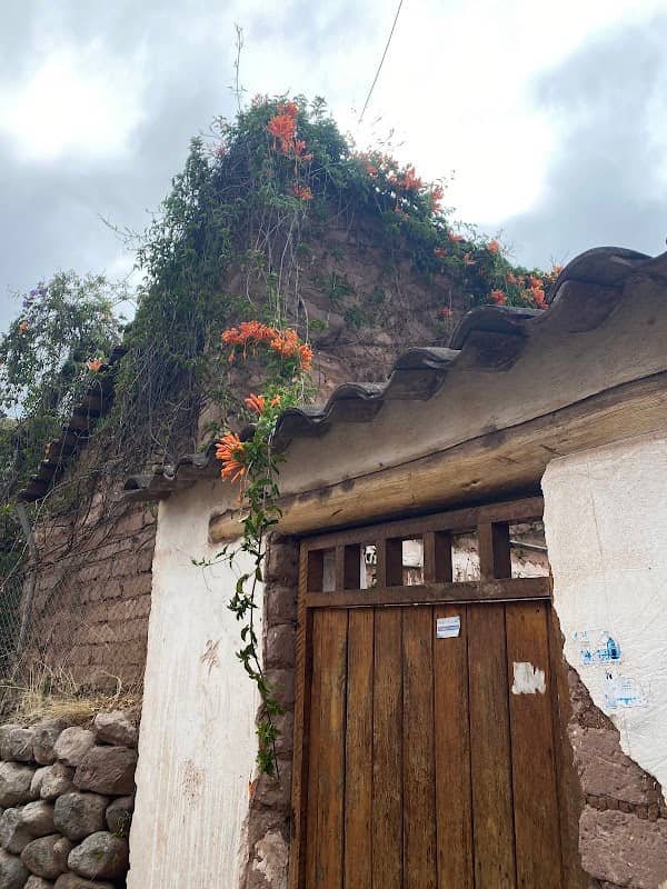 Flowers Path - Image 1