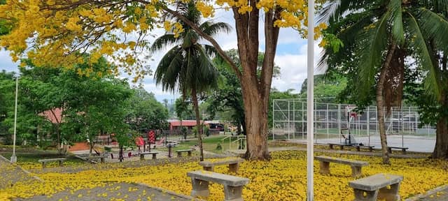 LA PRIMAVERA Park - Image 1