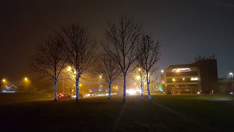 JohnstownTidyTowns - Winter Lights - Image 2