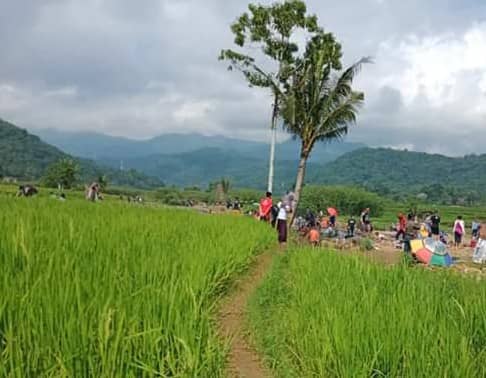 Pantai Cihonje Sembir - Image 1