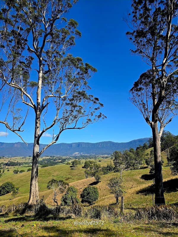 Tyalgum Lookout - Image 2