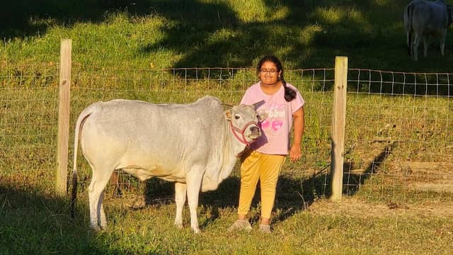 Charlotte Goshala-Brundavanam - Image 2