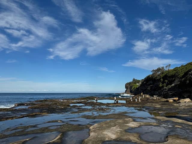 Dee Why Point Dee Why 2099 - Image 2