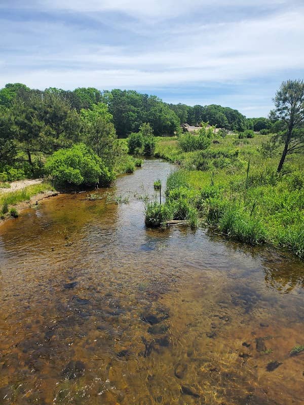Coonnamessett River Restoration - Image 1