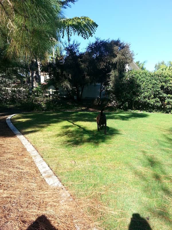 Wiro Park - Image 2