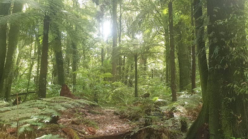 Jim Barnett Reserve - Image 1