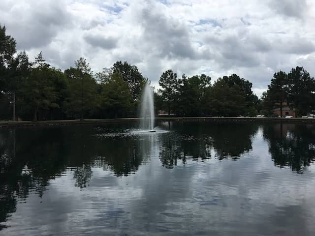 Municipal Park - Image 2