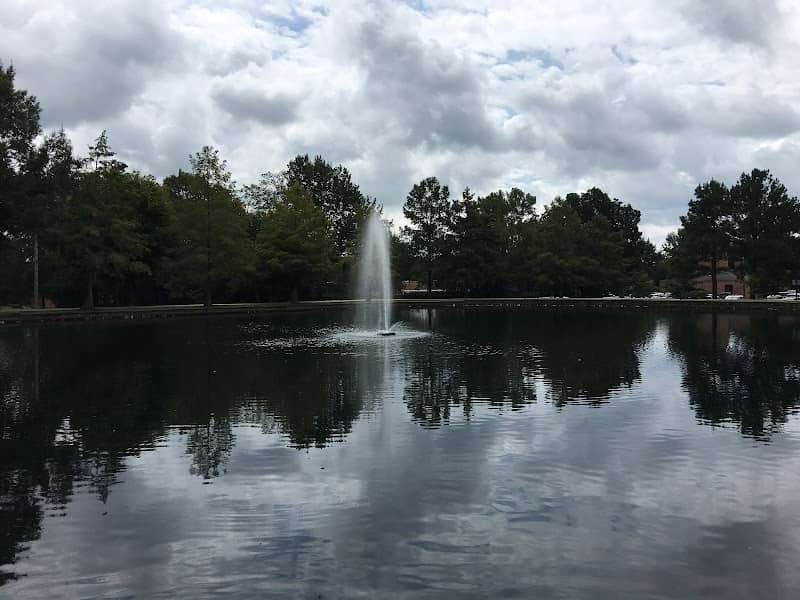 Municipal Park - Image 2