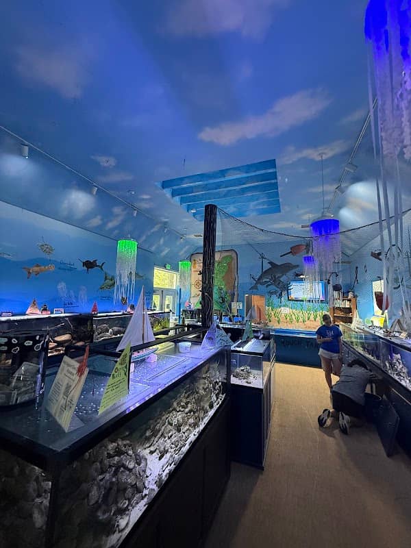 Glen Echo Park Aquarium - Image 2