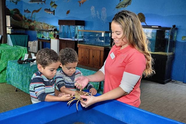 Glen Echo Park Aquarium - Image 1