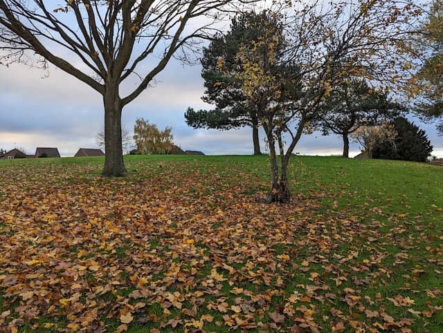 Granary Open Space - Image 1