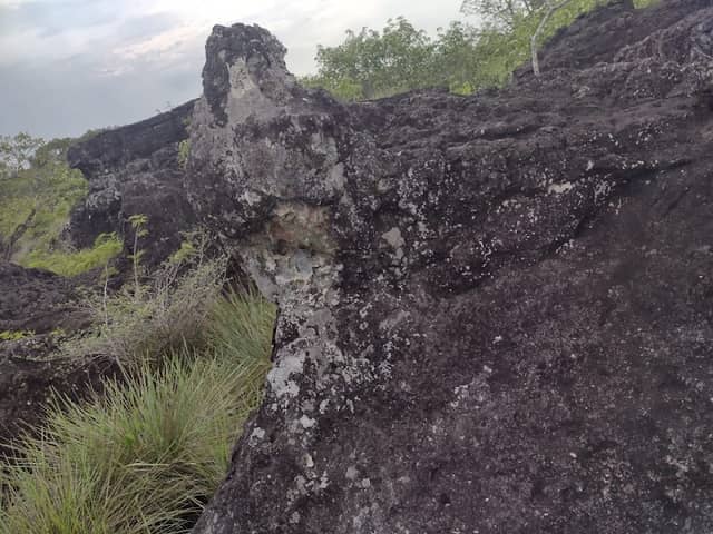 Finca Charcolandia - Image 2