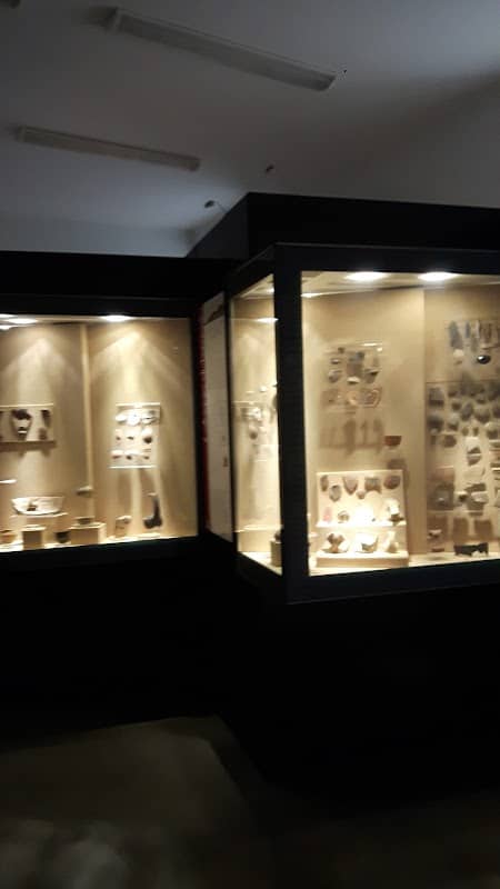 Museo Civico Archeologico - Image 2