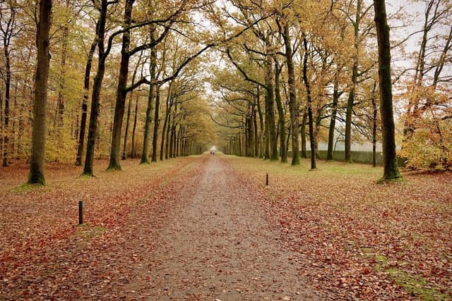 Paleispark Kroondomein Het Loo - Image 3