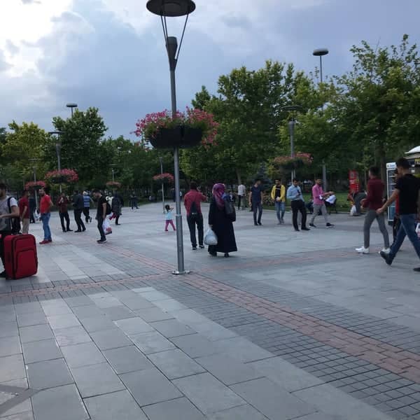 Culture Park - Image 2