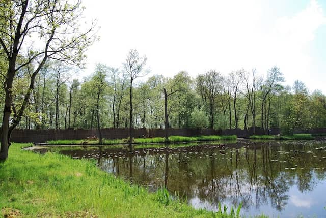 Eendenkooi - Image 1