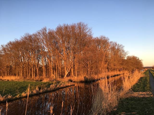 Eendenkooi - Image 2