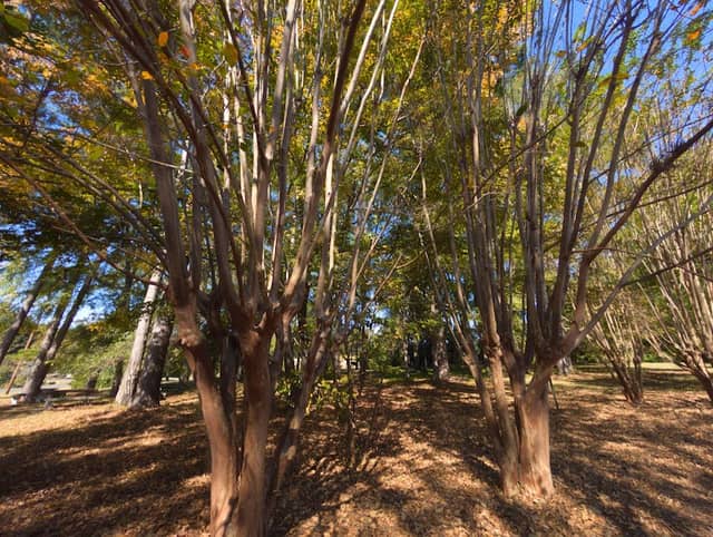 Sally West Park - Image 1