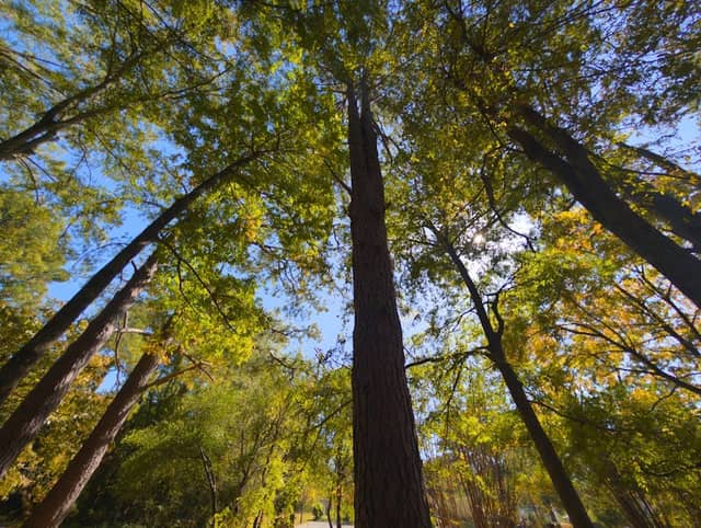 Sally West Park - Image 2