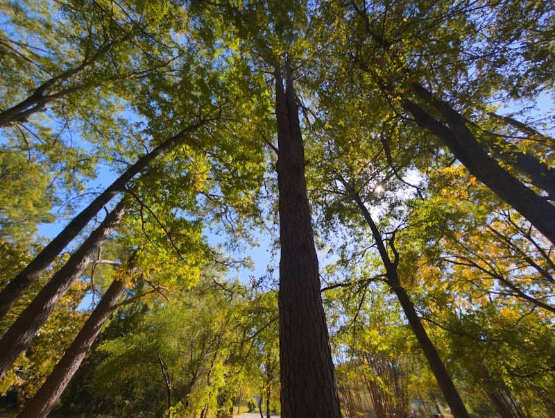 Sally West Park - Image 2