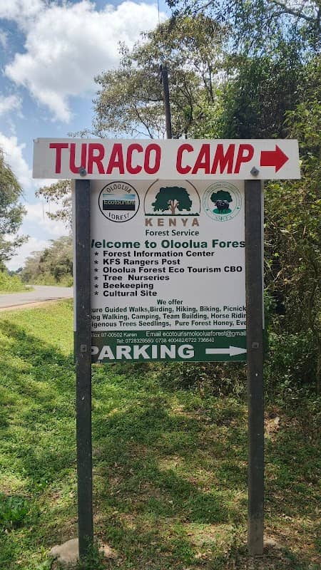 Turaco Camp Oloolua Forest - Image 1