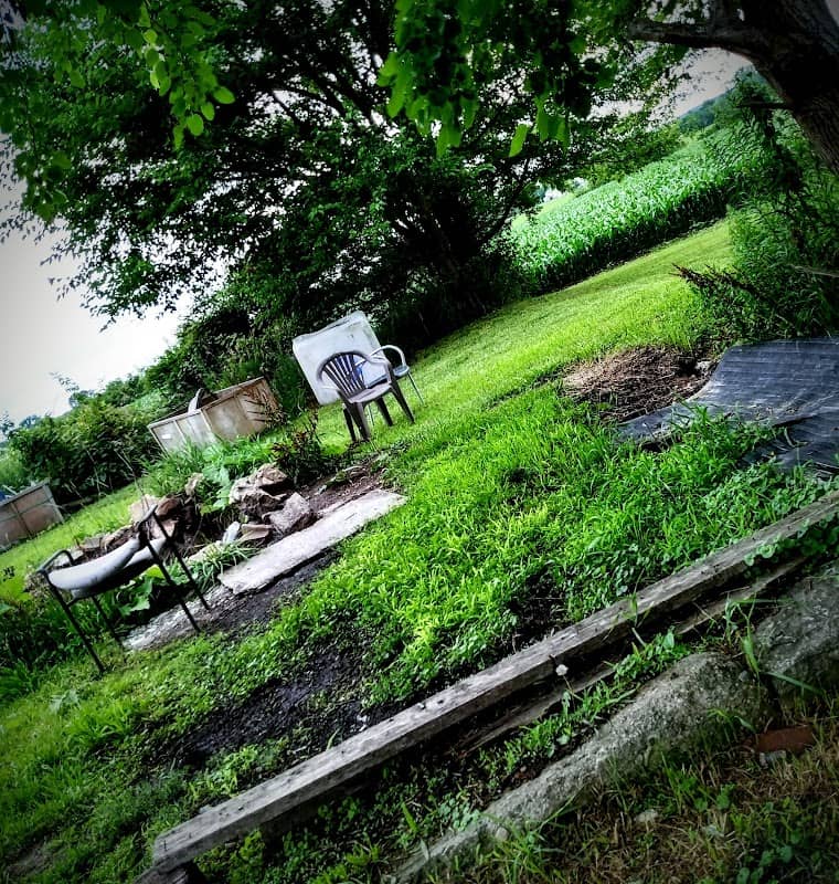 Sidney Haunted Woods - Image 1