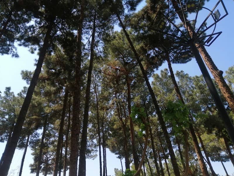 Shahrdaari Park - Image 2