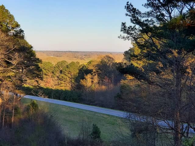 Twentymile Bottom Overlook - Image 2