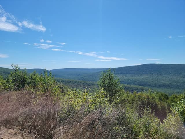 Bear Meadows Natural Area - Image 1