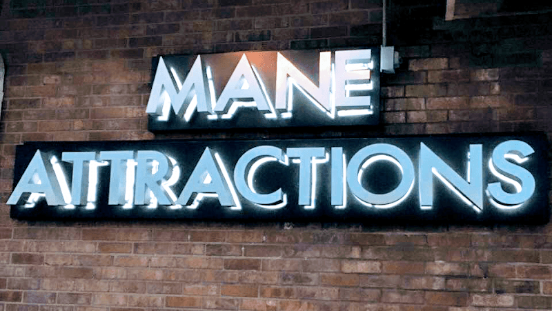 Mane Attractions - Image 1