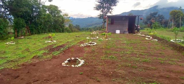 Finca Tobar - Image 1