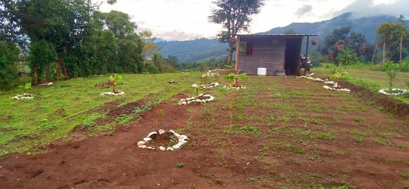 Finca Tobar - Image 1