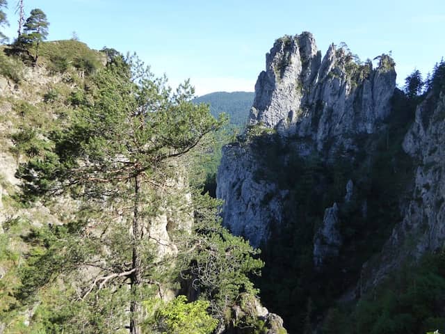 Kaltenbachwildnis - Image 3