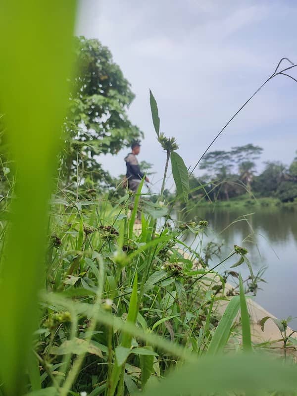 Cidawolong petir hilir - Image 1