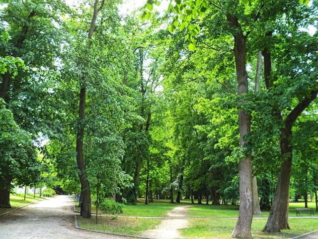 Park Jána Baltazára Magina - Image 1