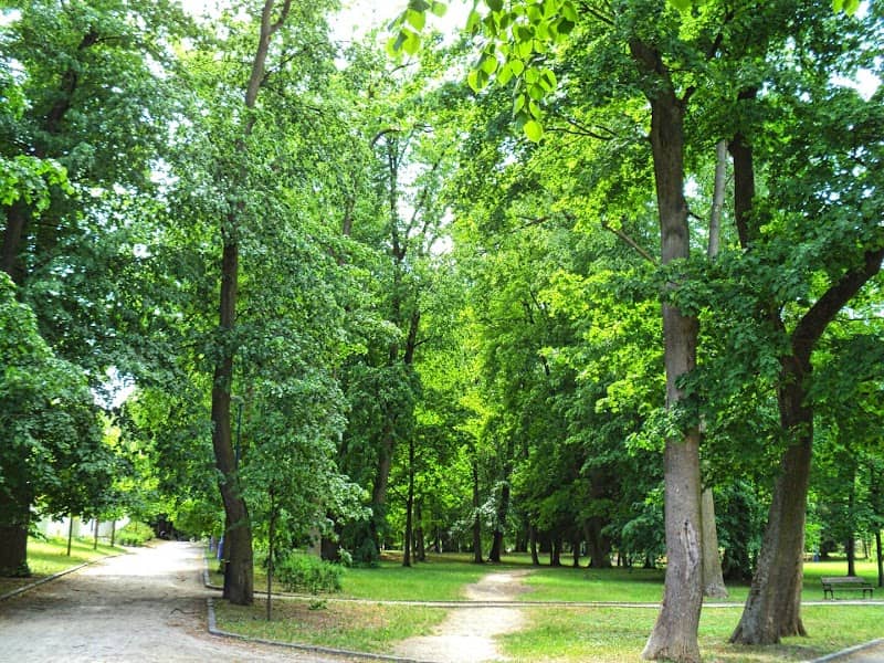 Park Jána Baltazára Magina - Image 1