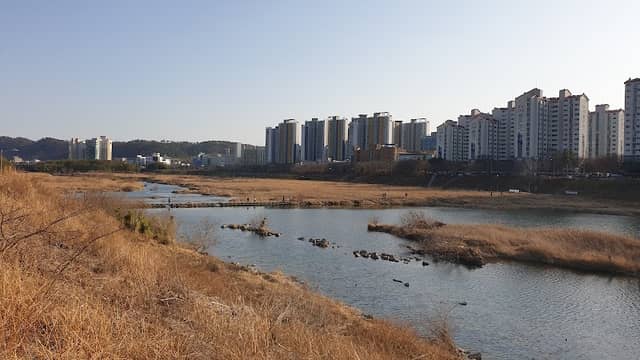징검다리 - Image 1