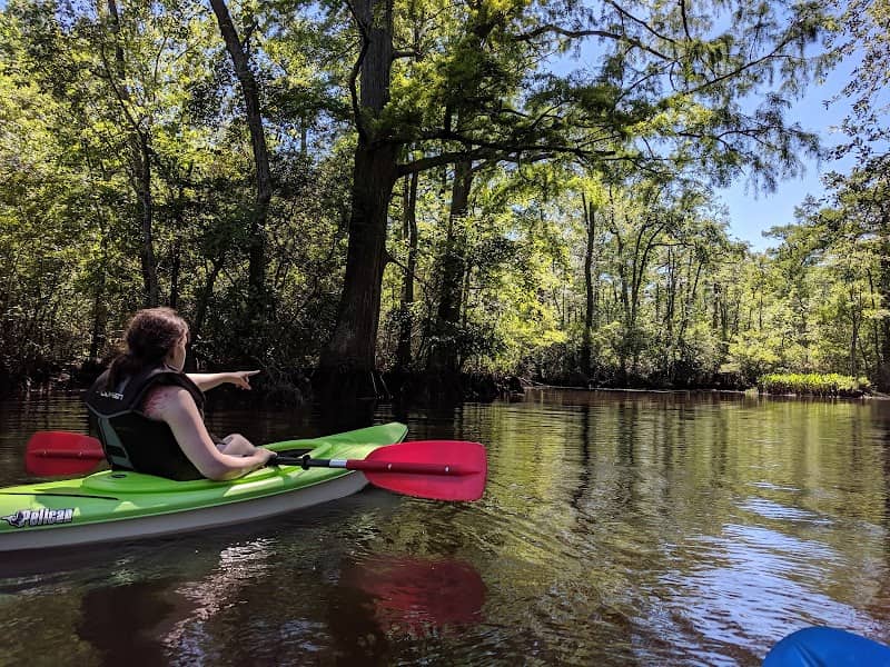 Powhatan Creek Park and Blueway - Image 1