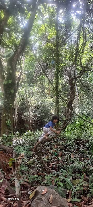 Bopagoda Jungle River, M7, T shop - Image 1